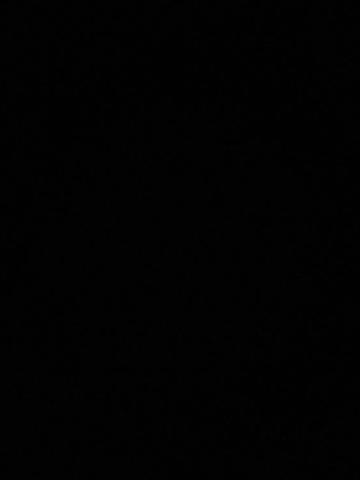 Патриция Радушный Приём фото 2